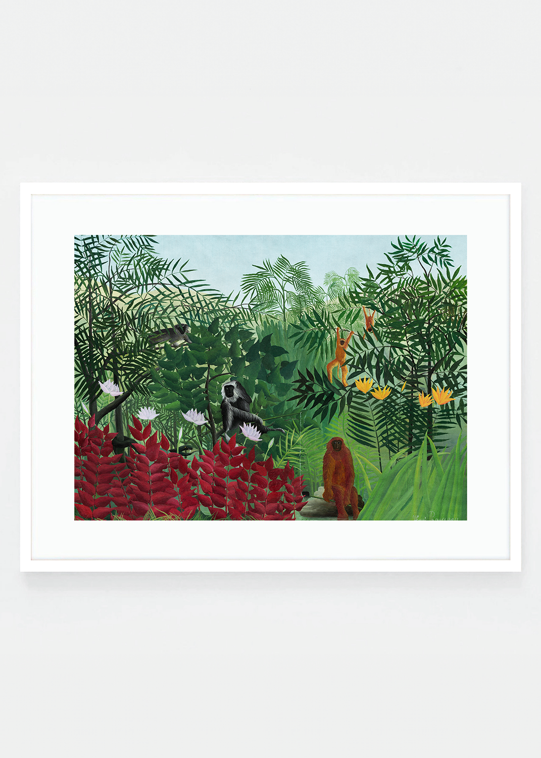 Tropical Forest with Monkeys