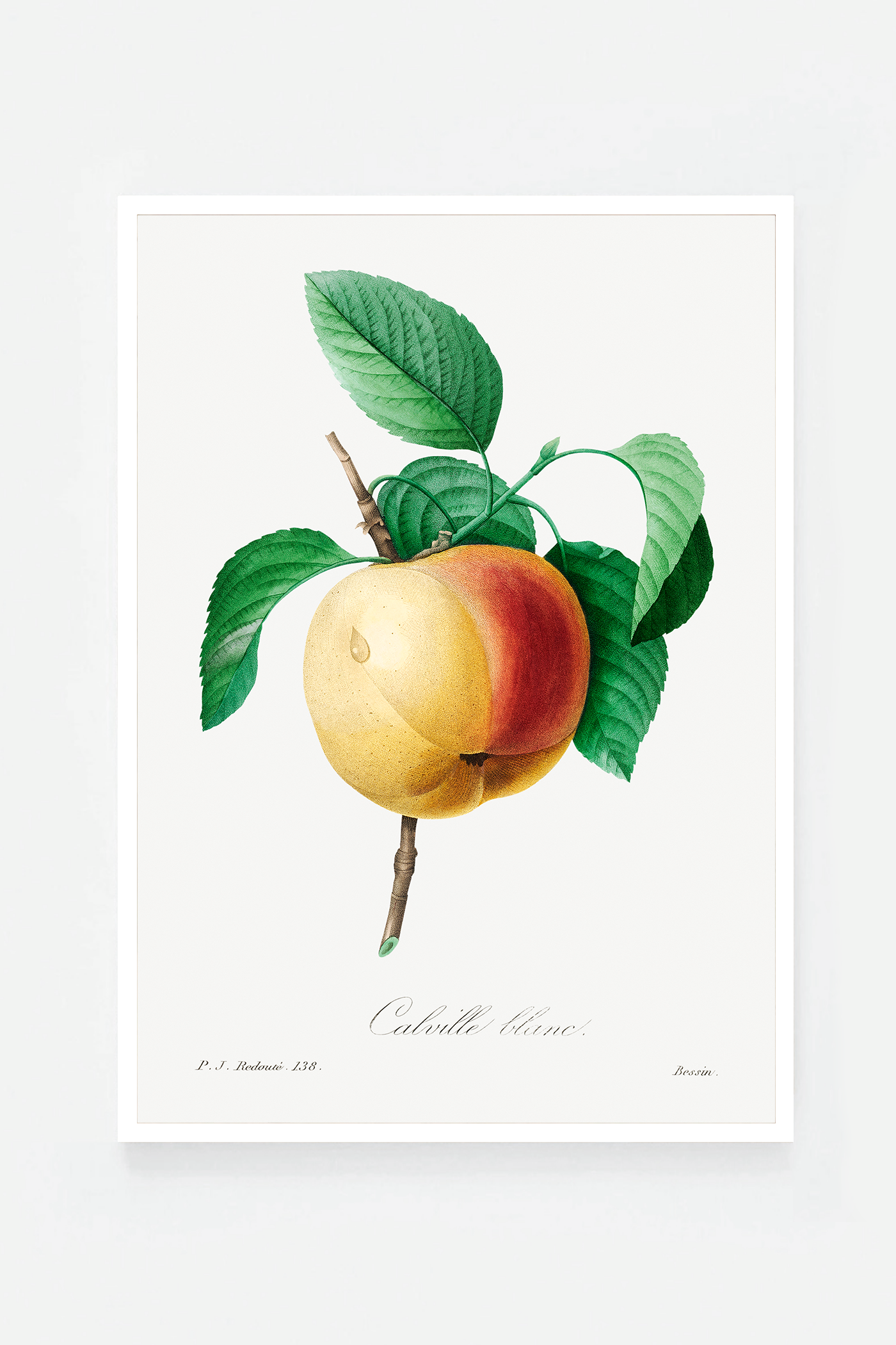 Peach