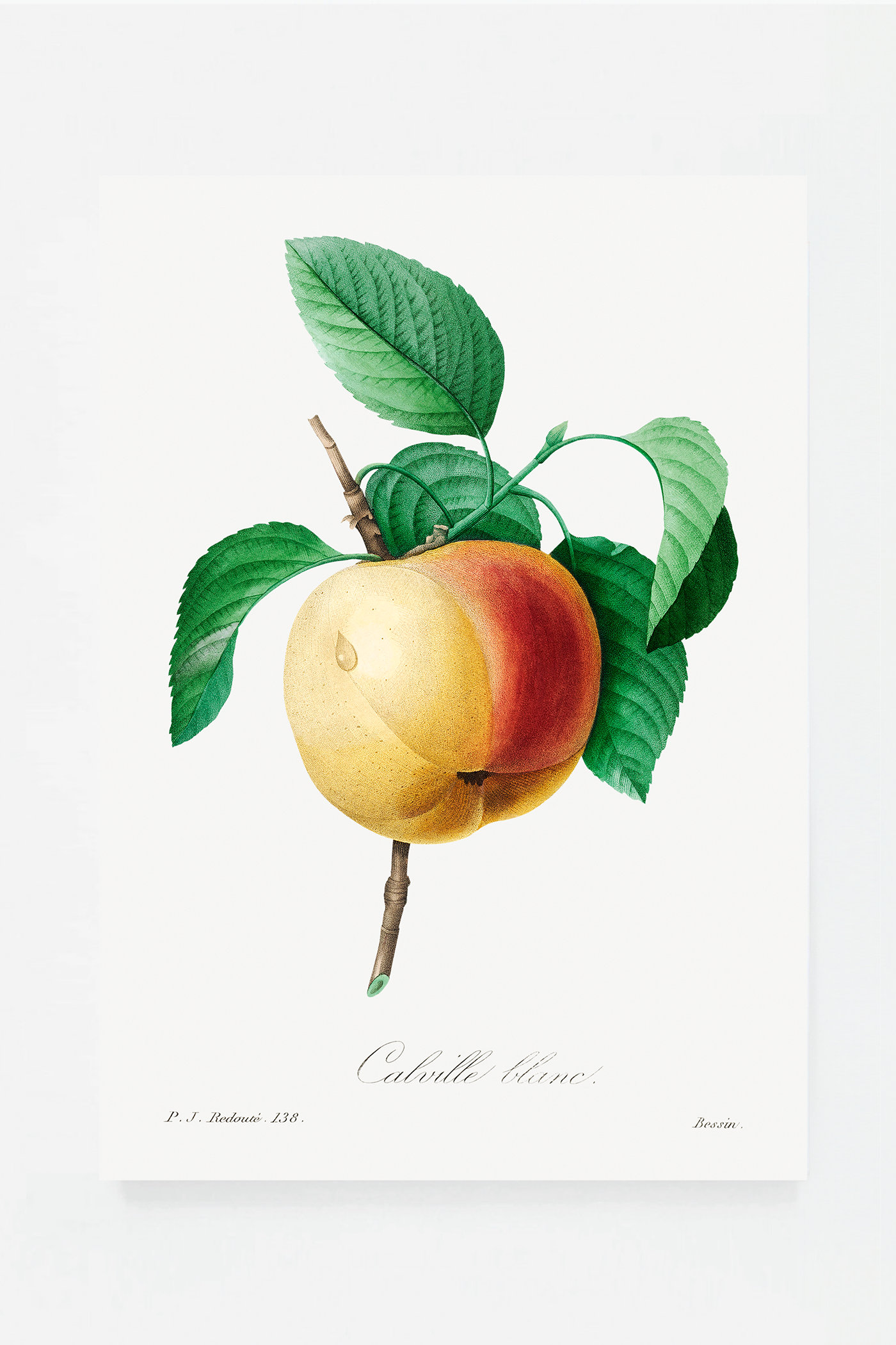 Peach