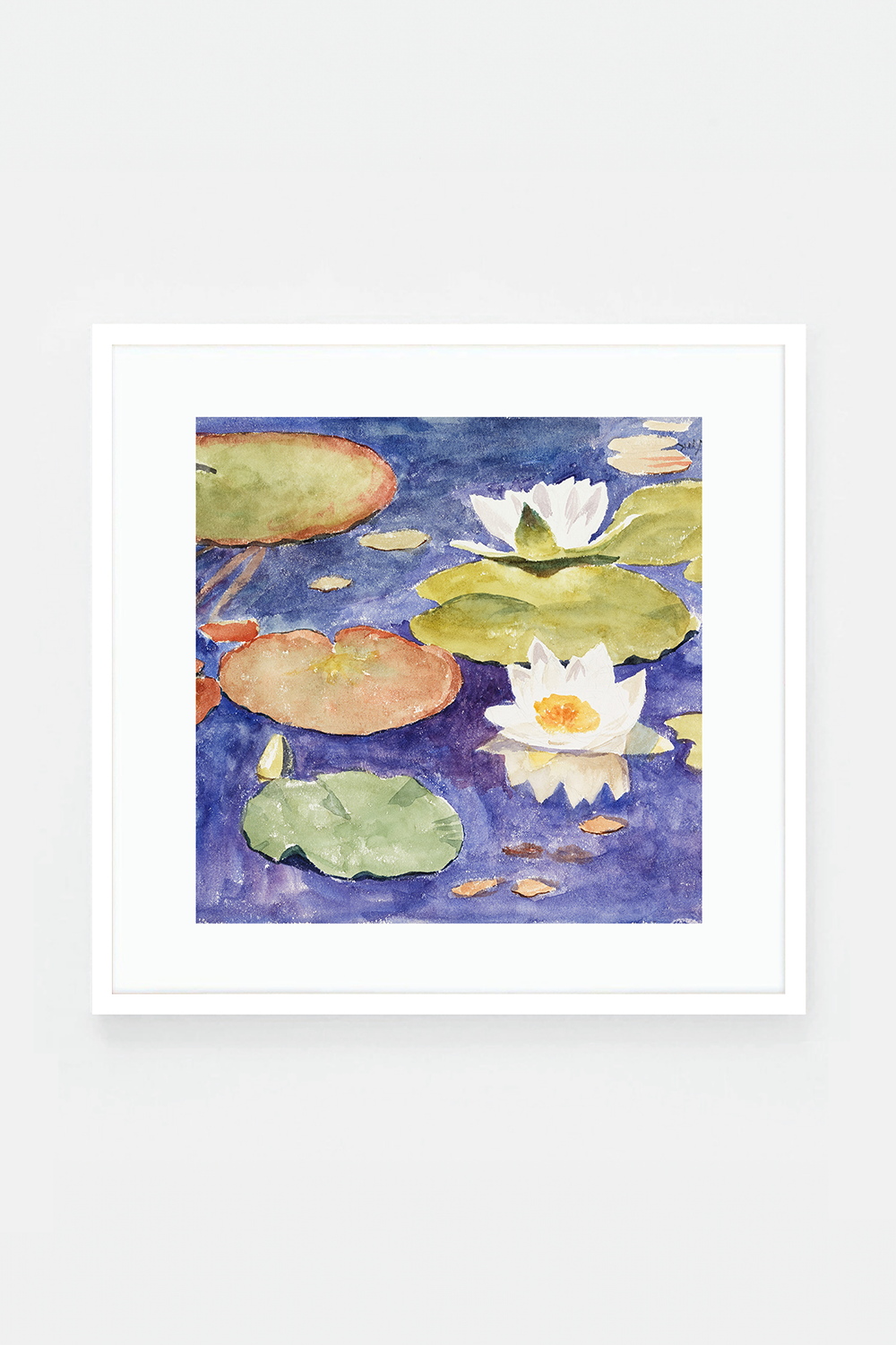 Waterlilies in the water