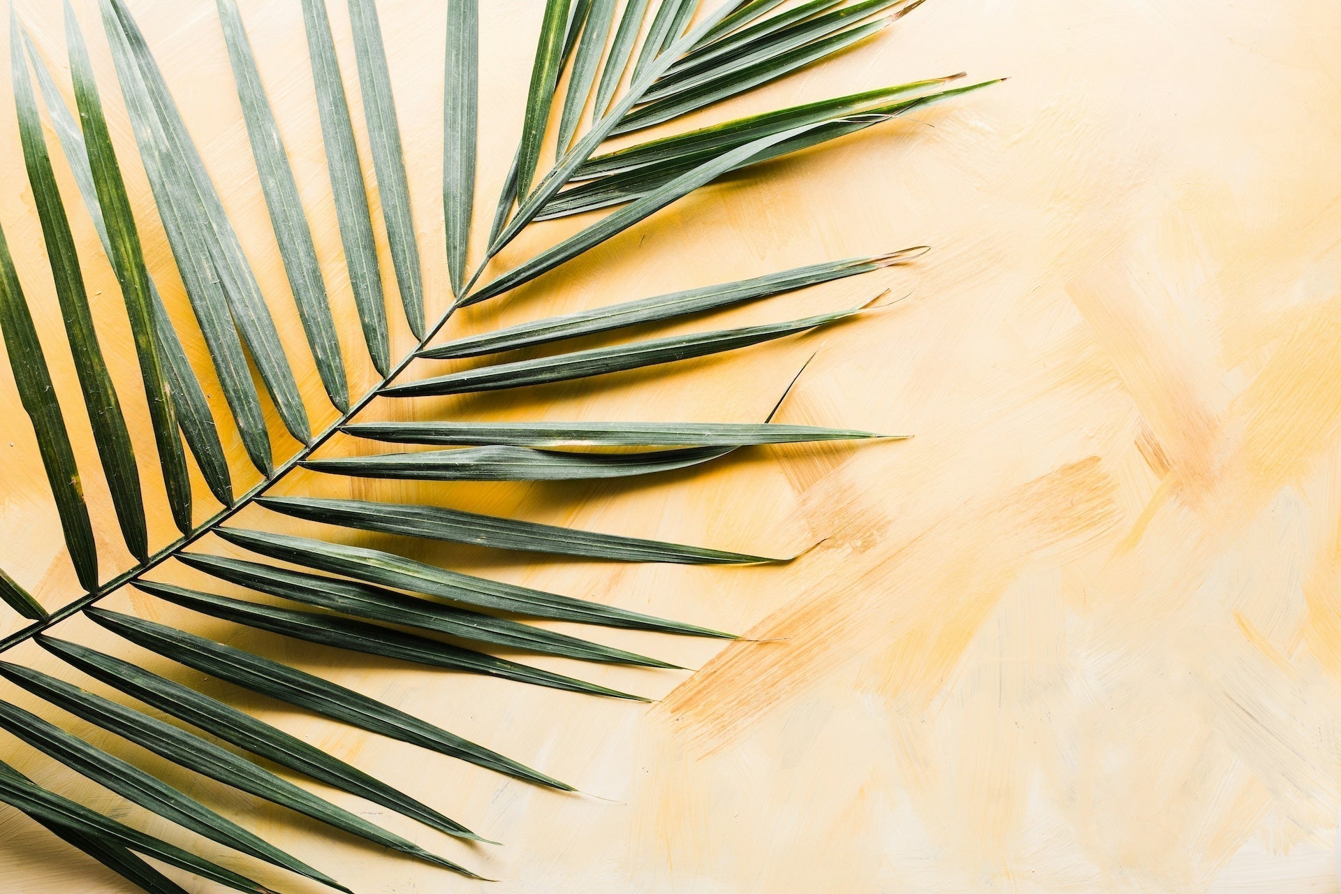 Sun-Drenched Spaces: Give Your Interior a Summertime Glow