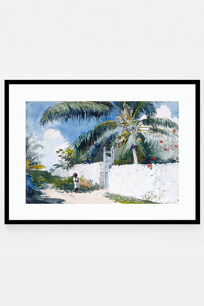 A garden in Nassau