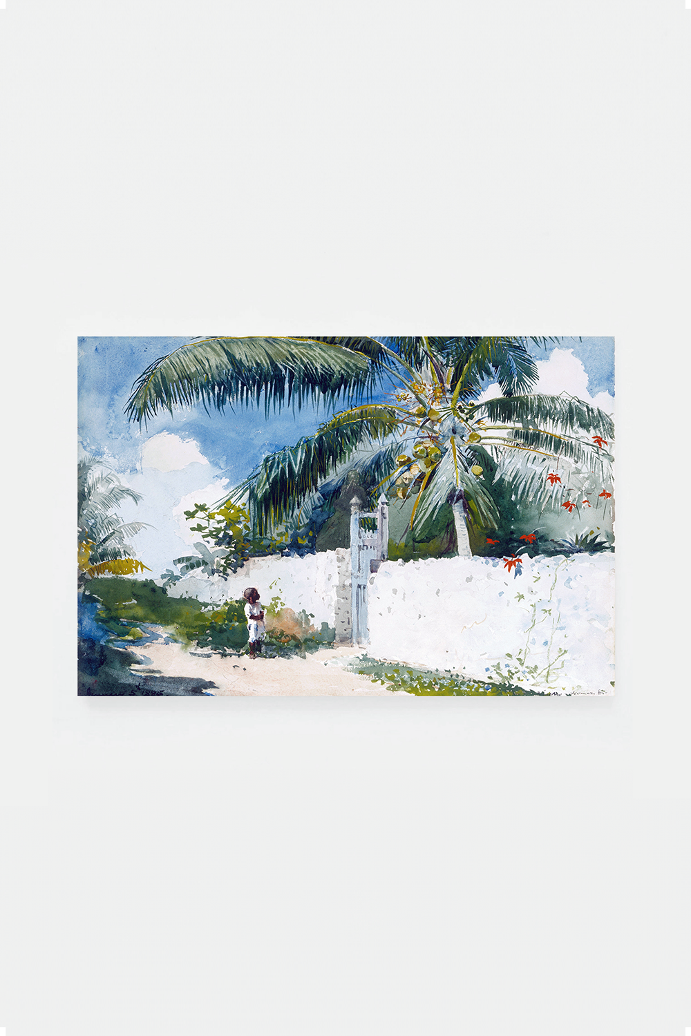 A garden in Nassau