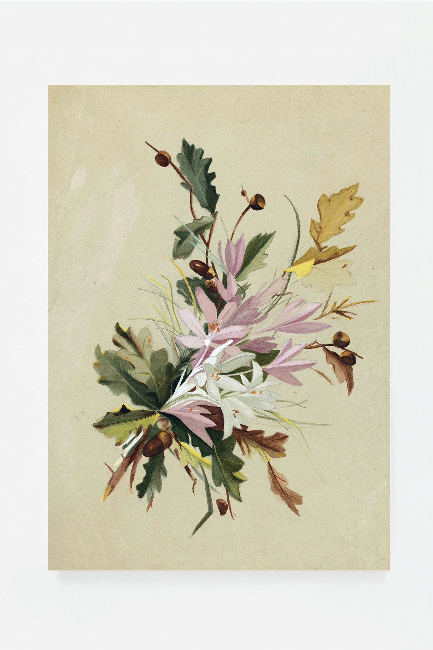 Autumn flower