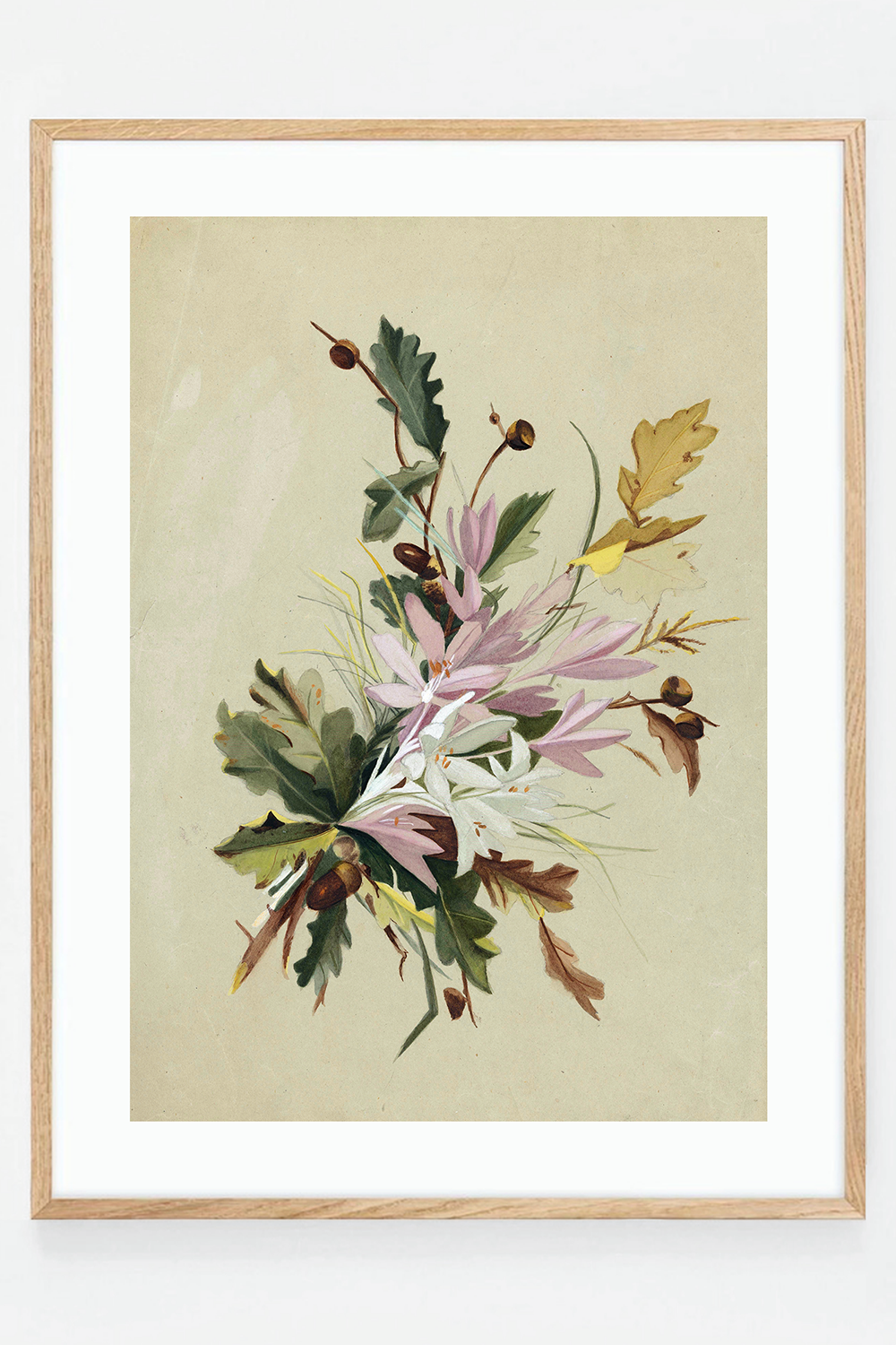 Autumn flower