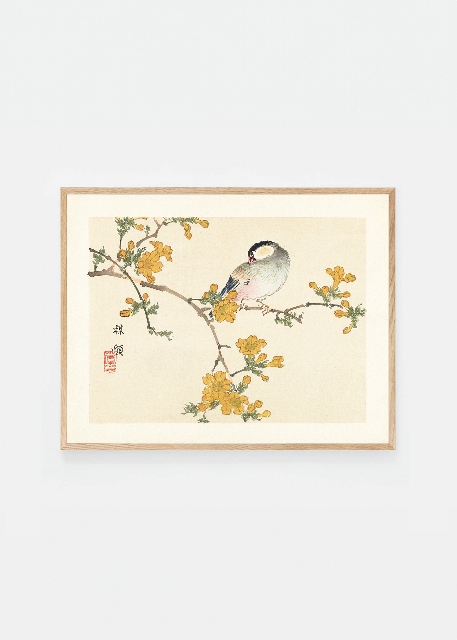 Bird