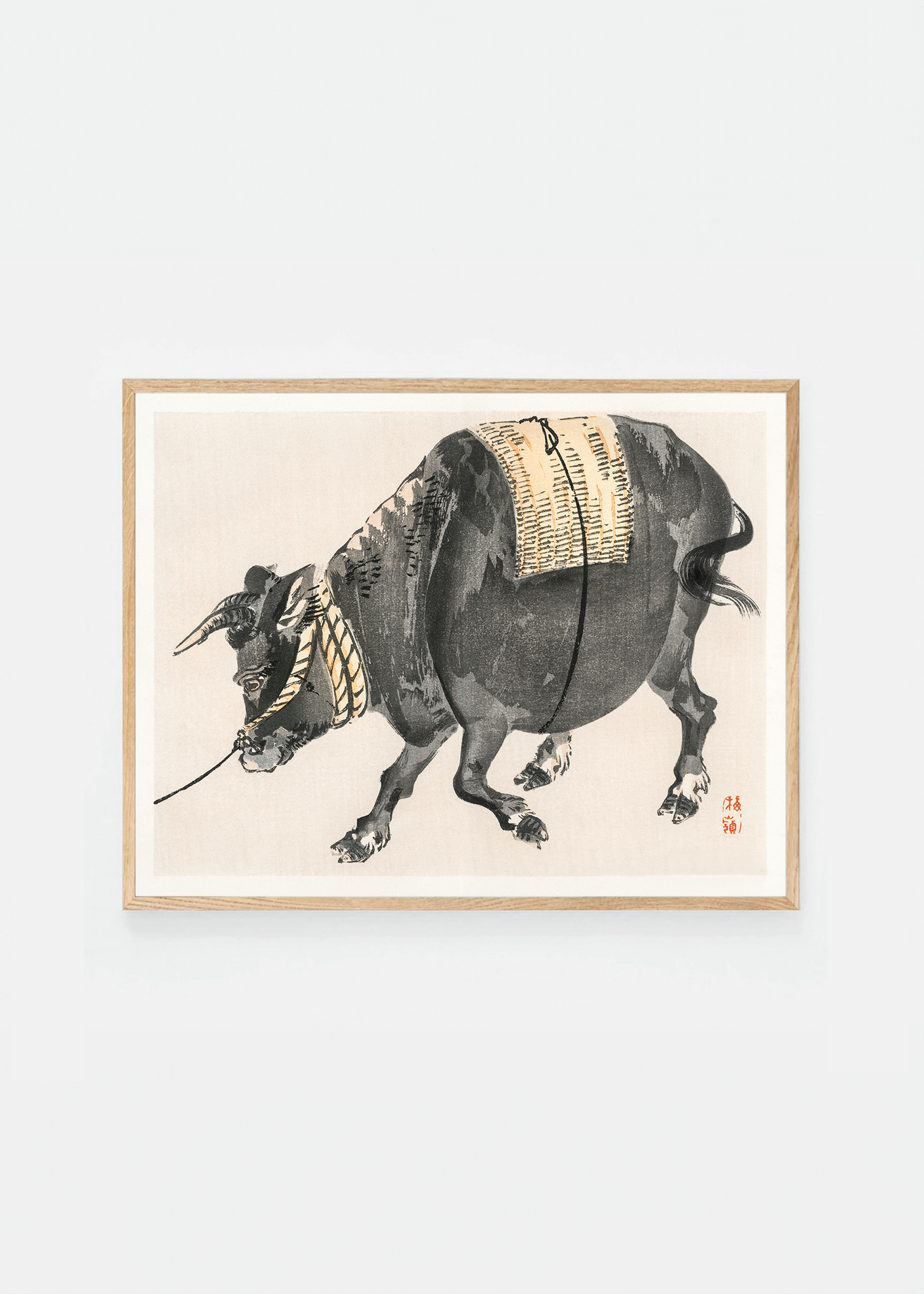 Black bull