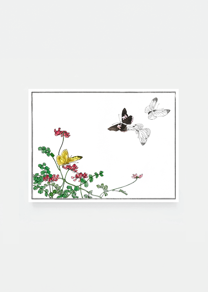 Butterflies and flower