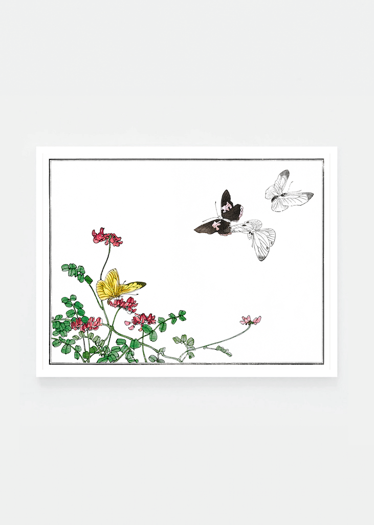 Butterflies and flower