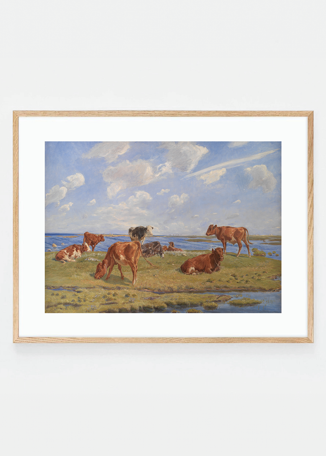 Calves at the beach