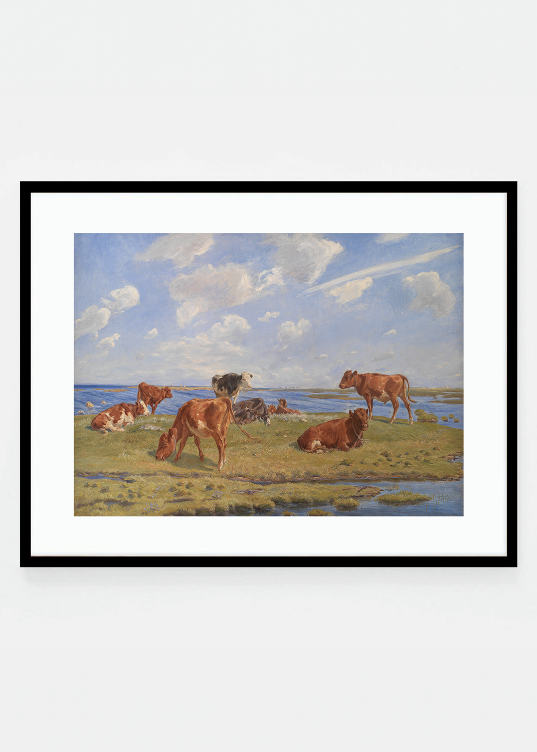 Calves at the beach