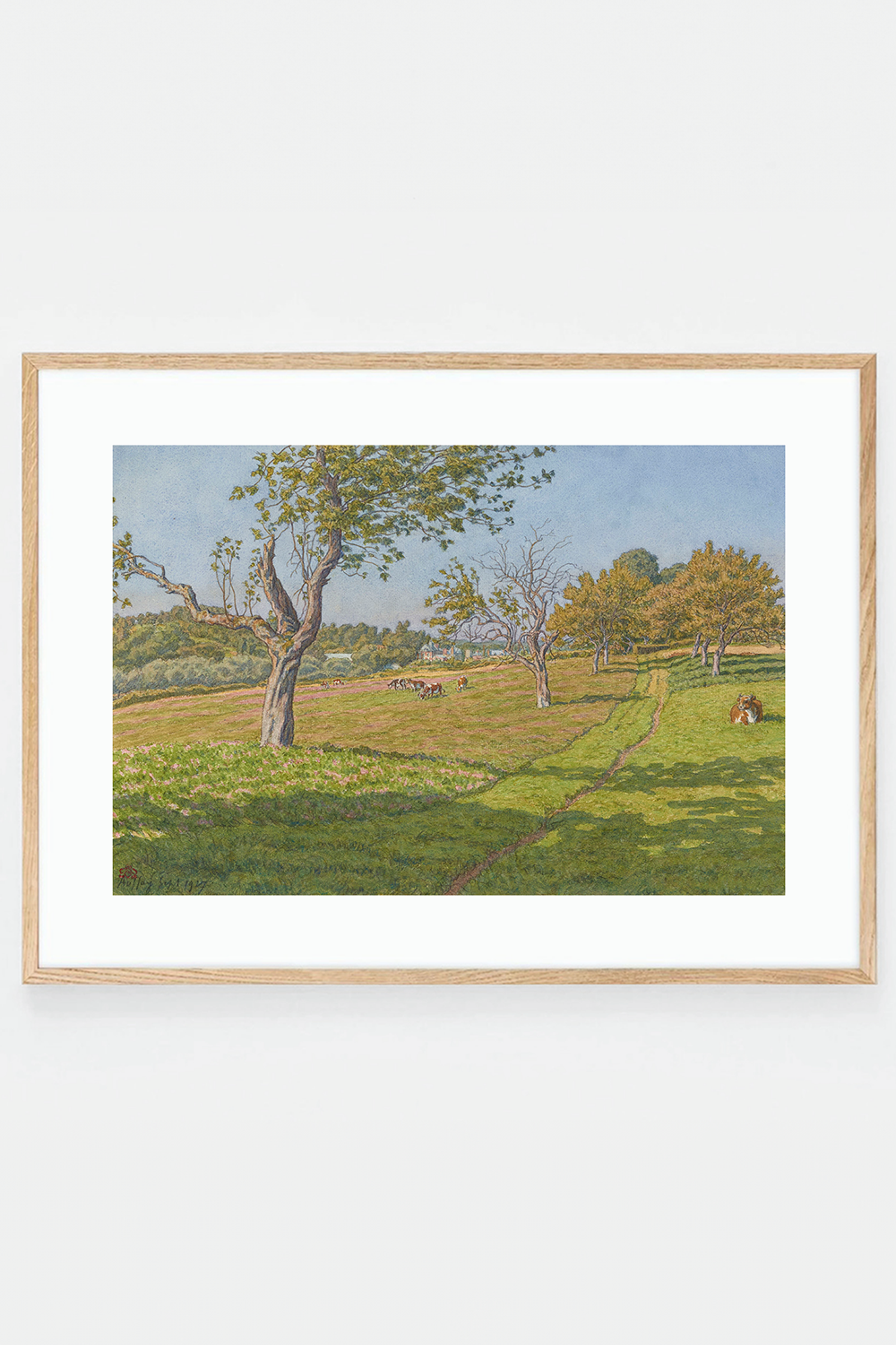 Champs à Auffay
