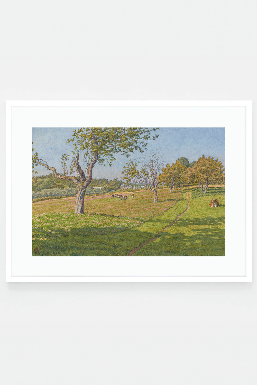 Champs à Auffay