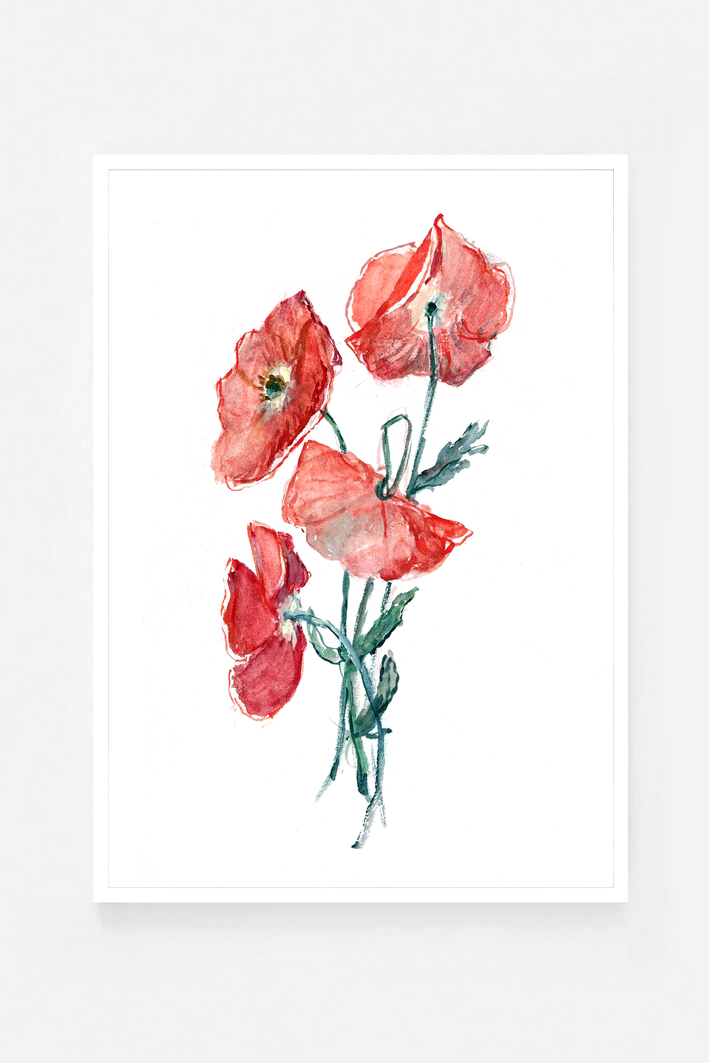 Coquelicot