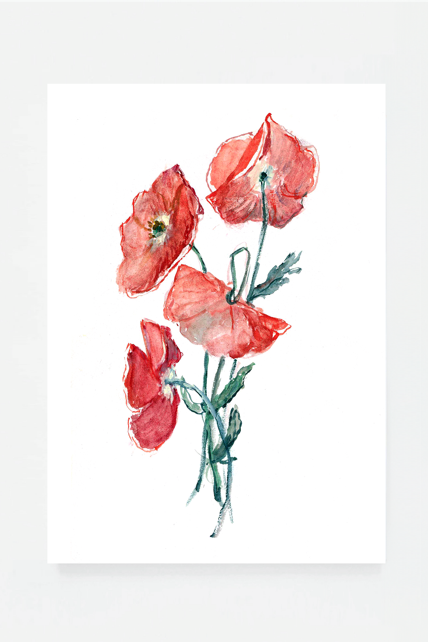 Coquelicot