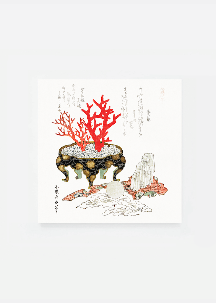 Coral branch