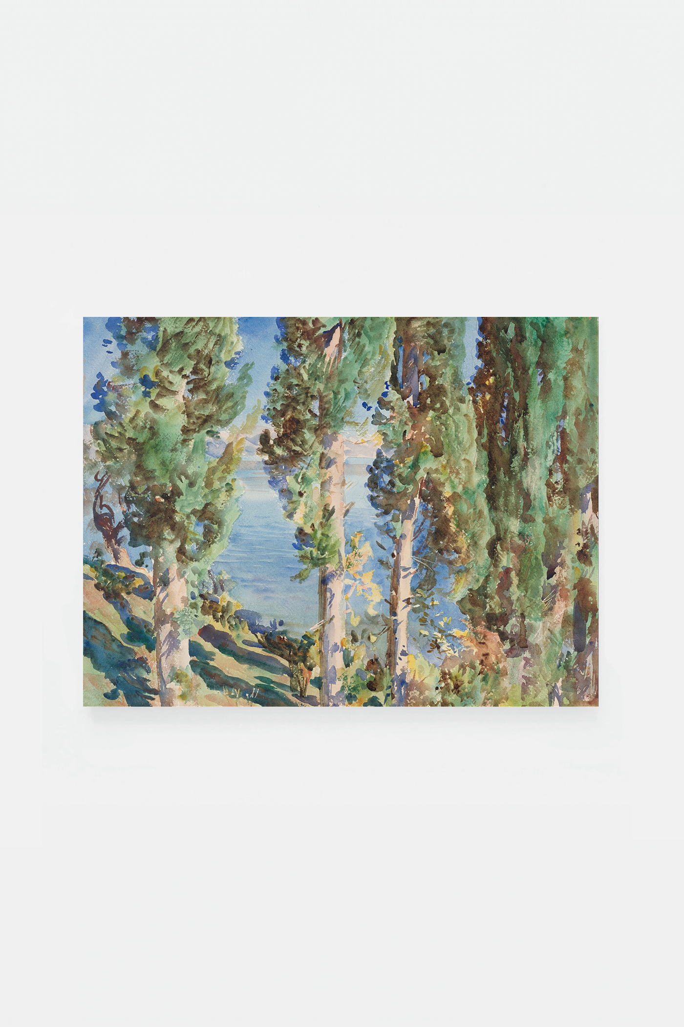 Corfu Cypresses