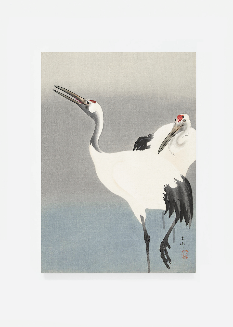 Two cranes