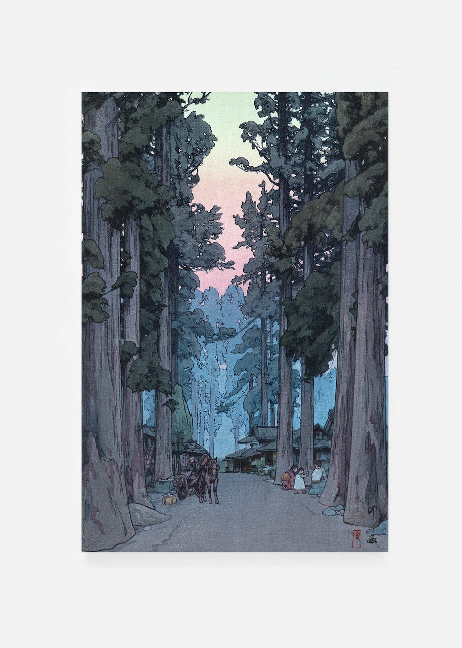 Crytomeria Avenue