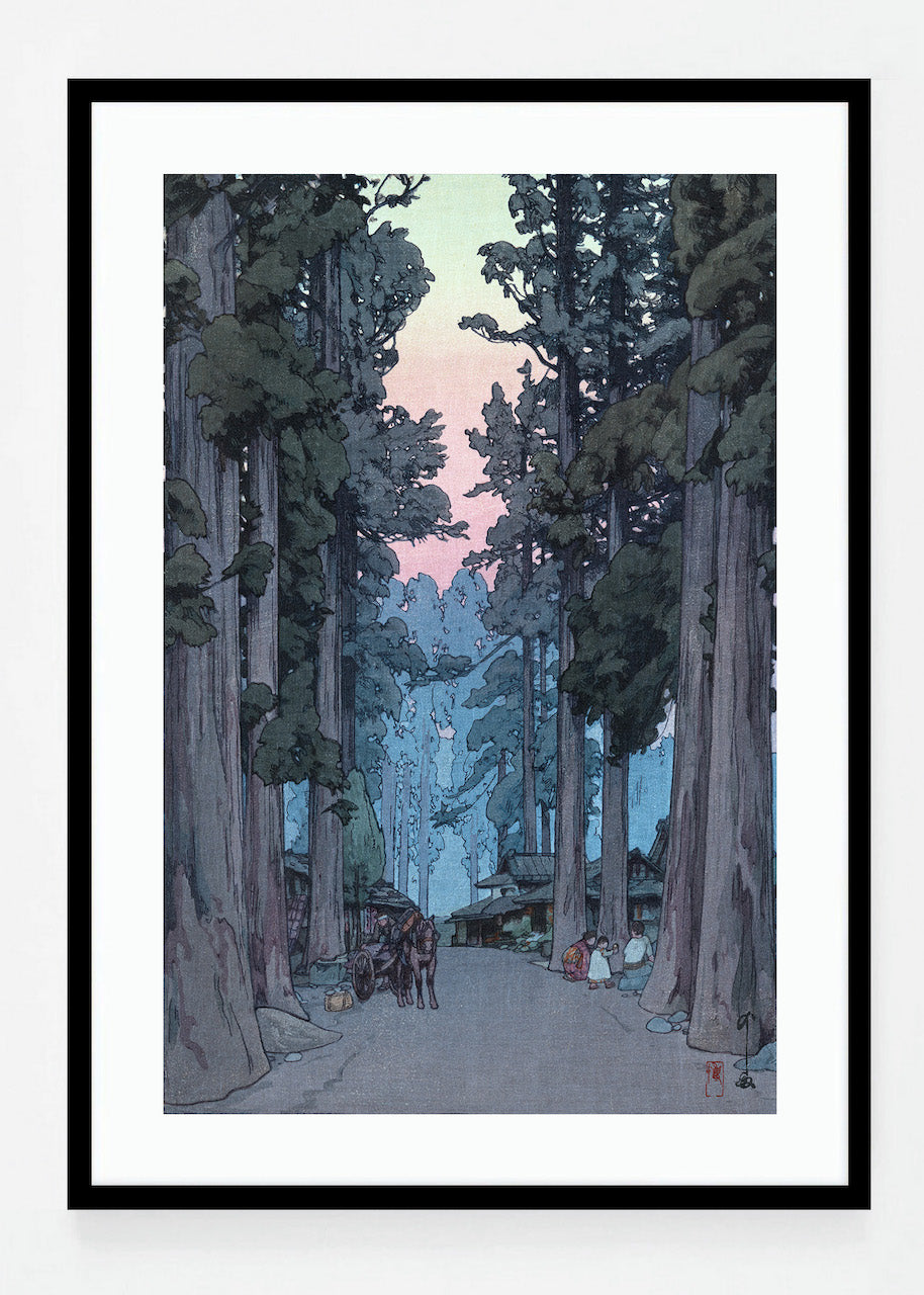 Crytomeria Avenue