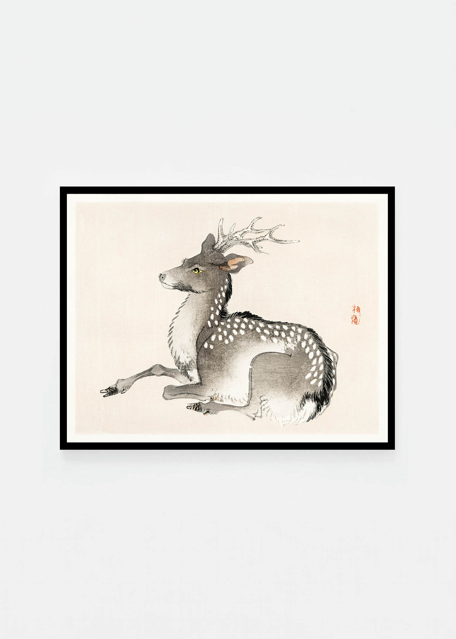 Elk