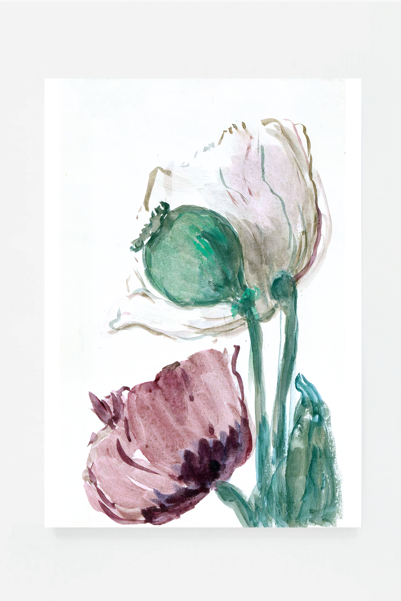 Rose III
