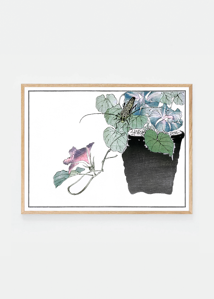 Flower and beetle