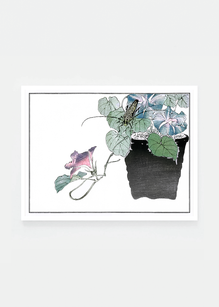 Flower and beetle
