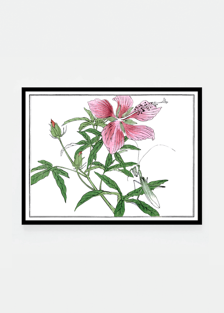 Flower and mantis