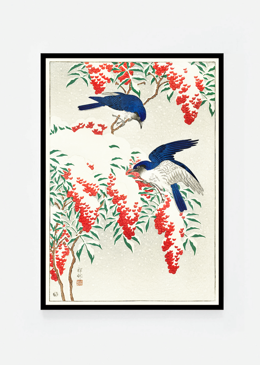 Flycatchers on a nadina bush