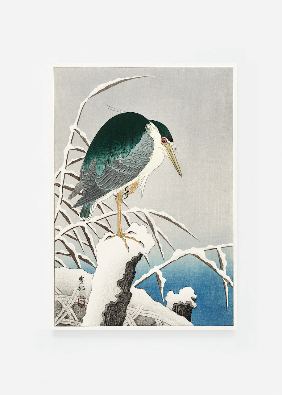 Heron in snow