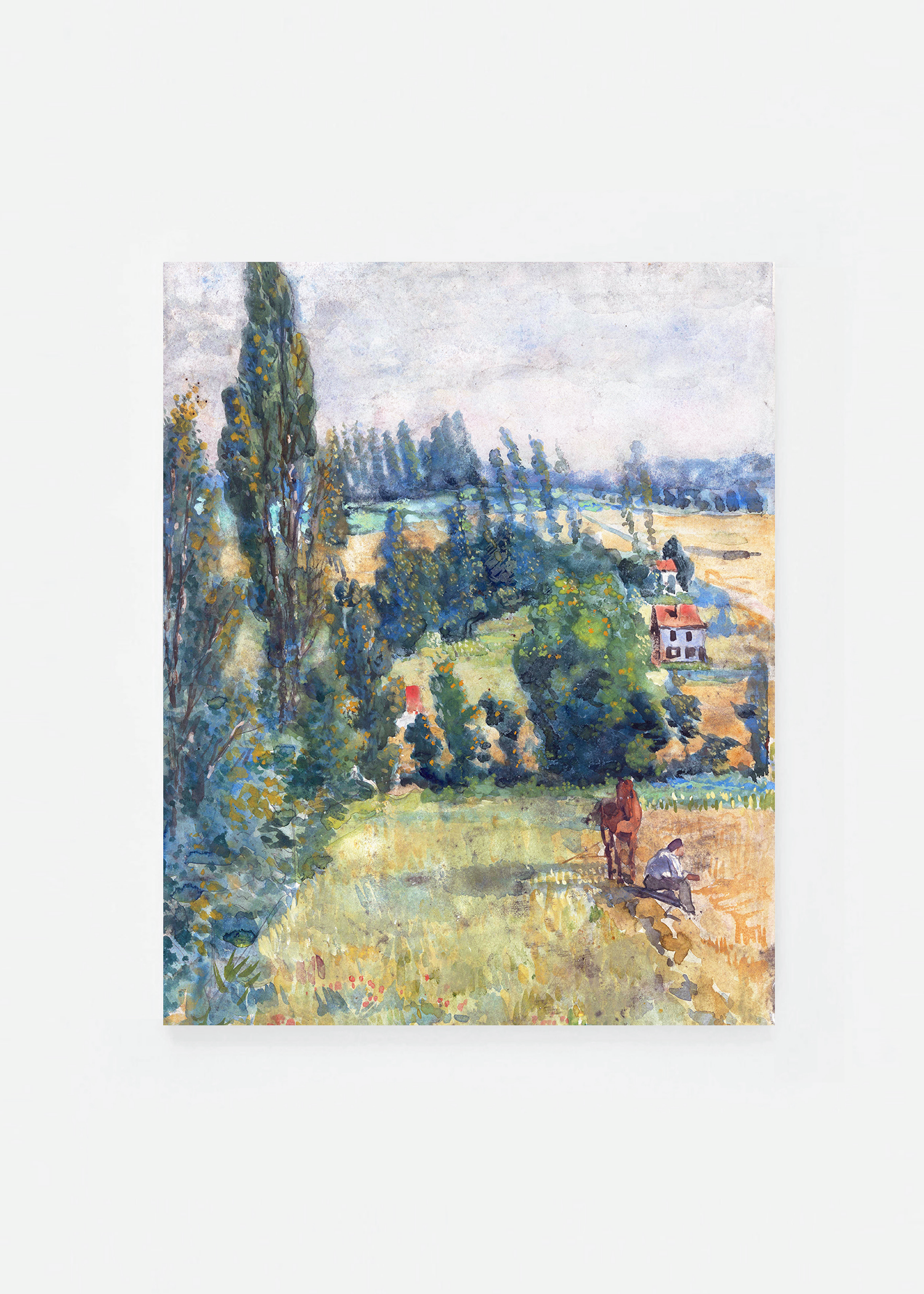 Hilly landscape