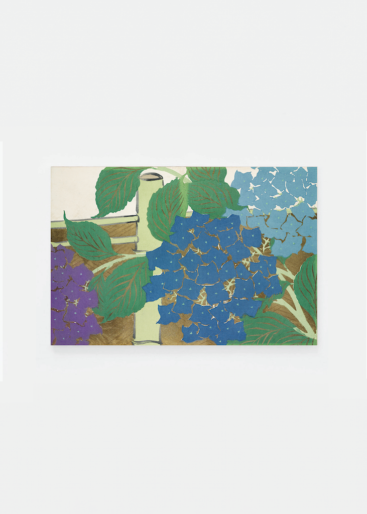 Hydrangea