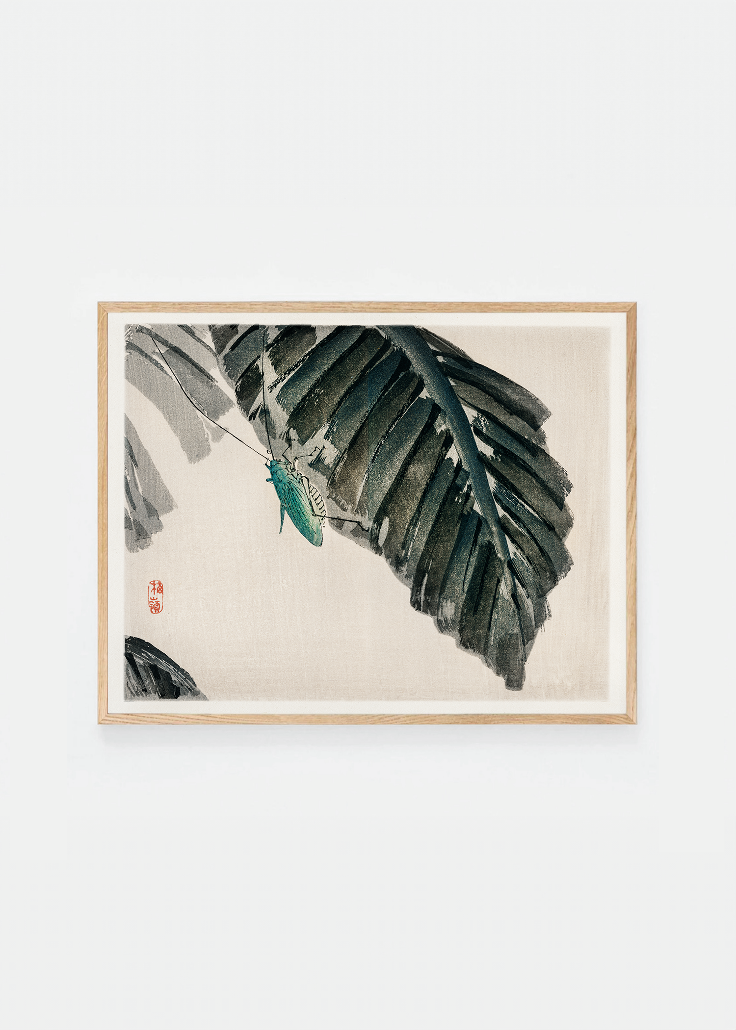Insect on leaves