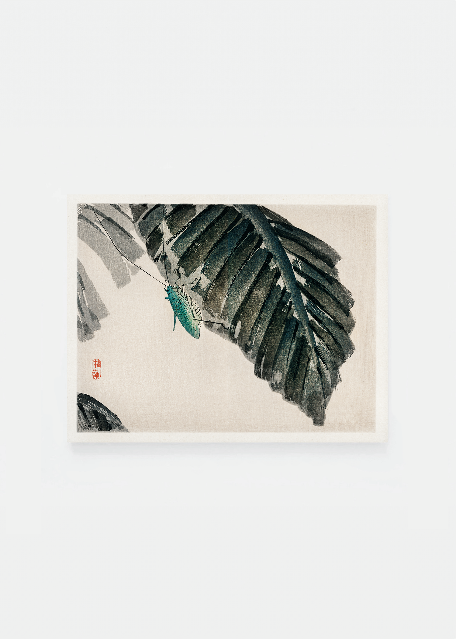 Insect on leaves