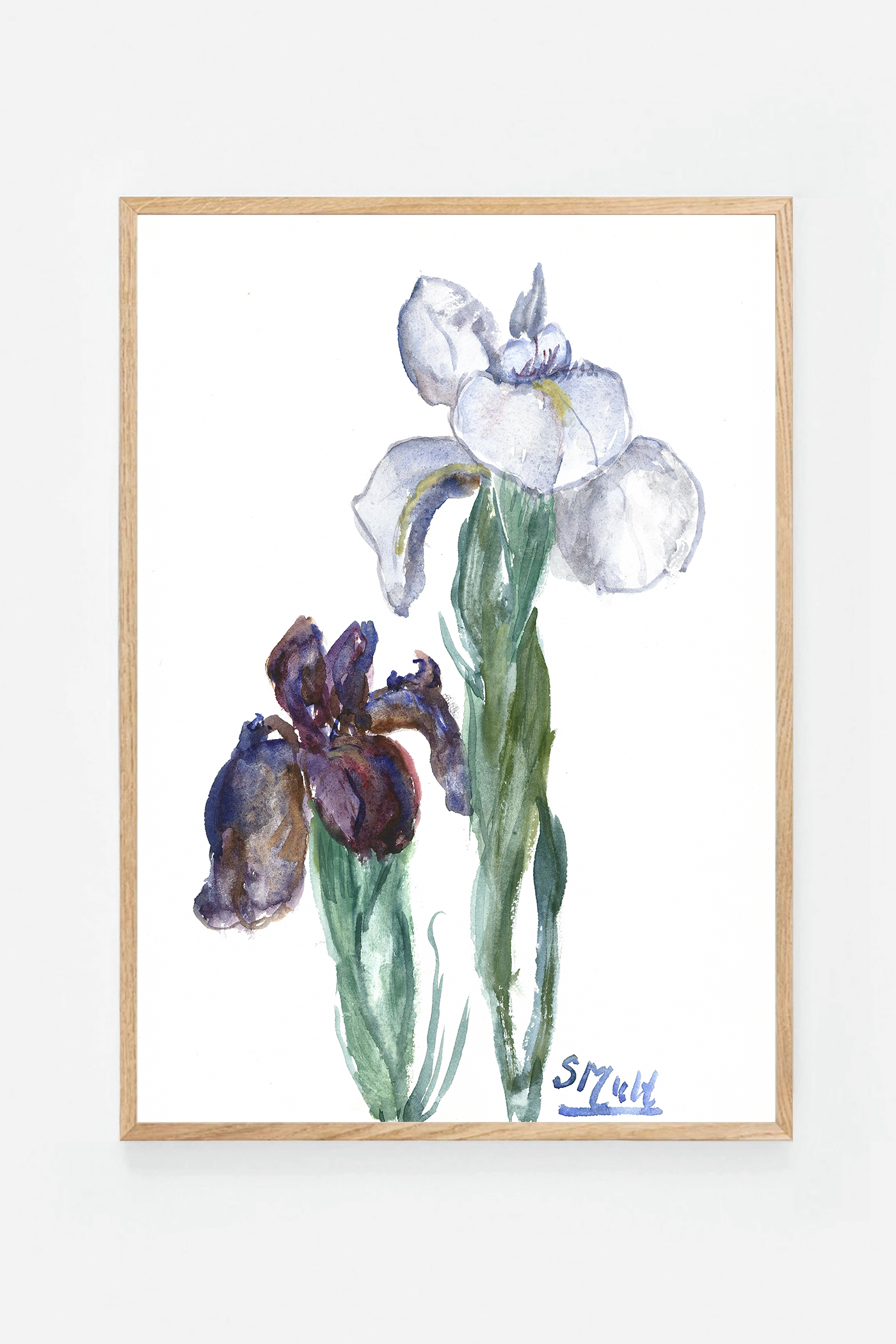 Iris