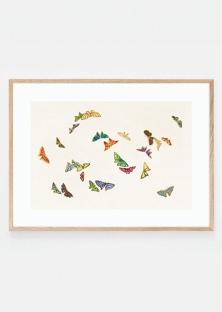 Japanese butterflies II