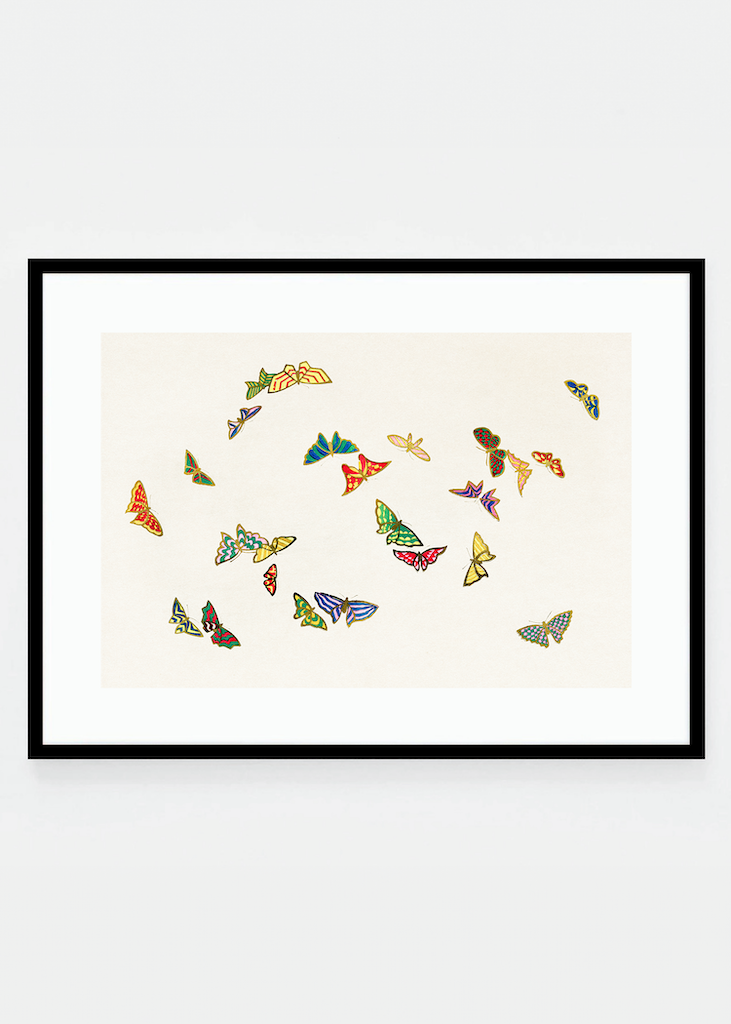 Japanese butterflies II