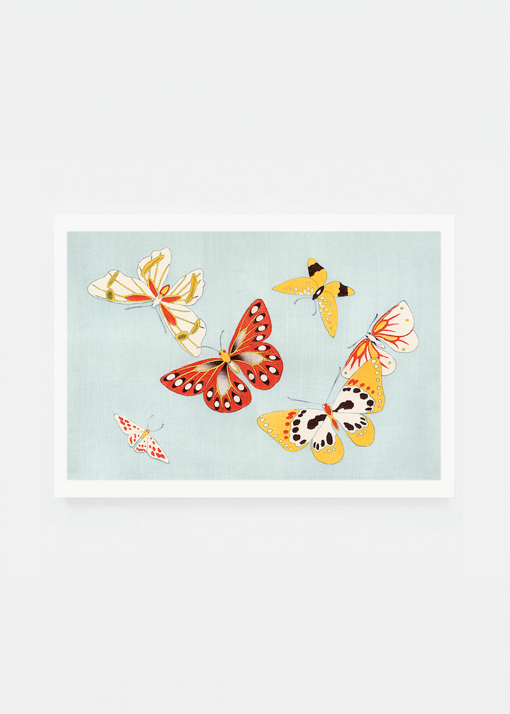 Japanese butterflies III