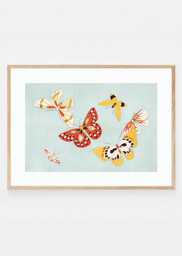 Japanese butterflies III