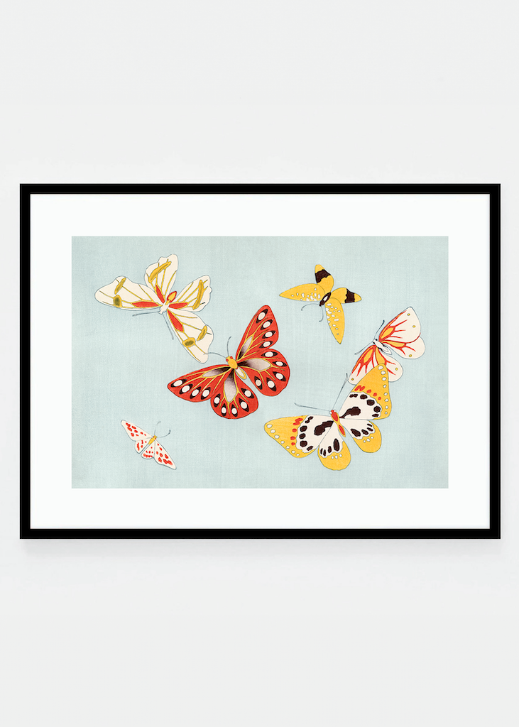 Japanese butterflies III