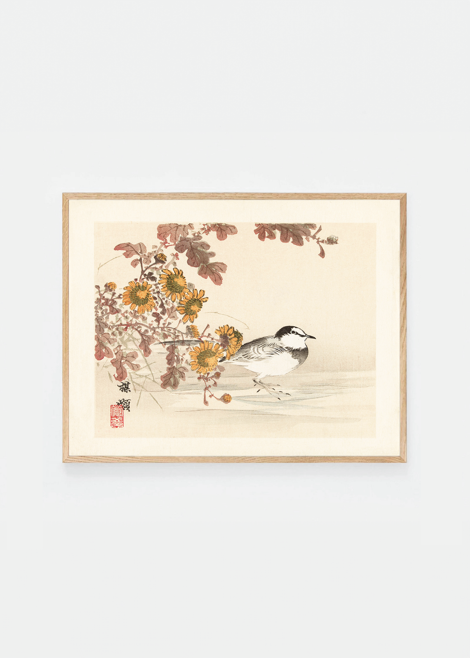 Wagtail