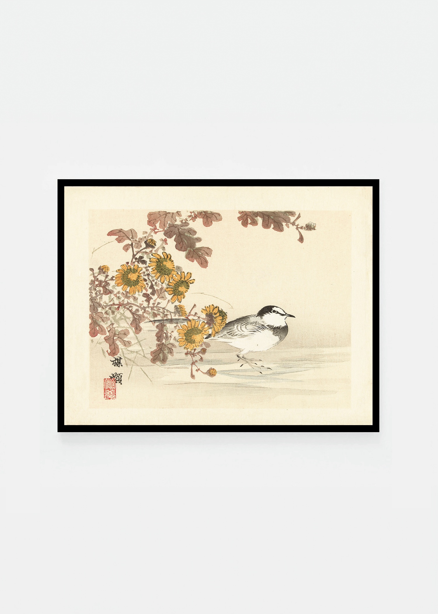 Wagtail