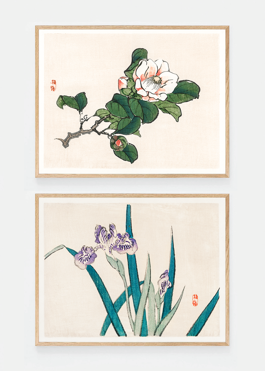 Set of two flora art prints IV