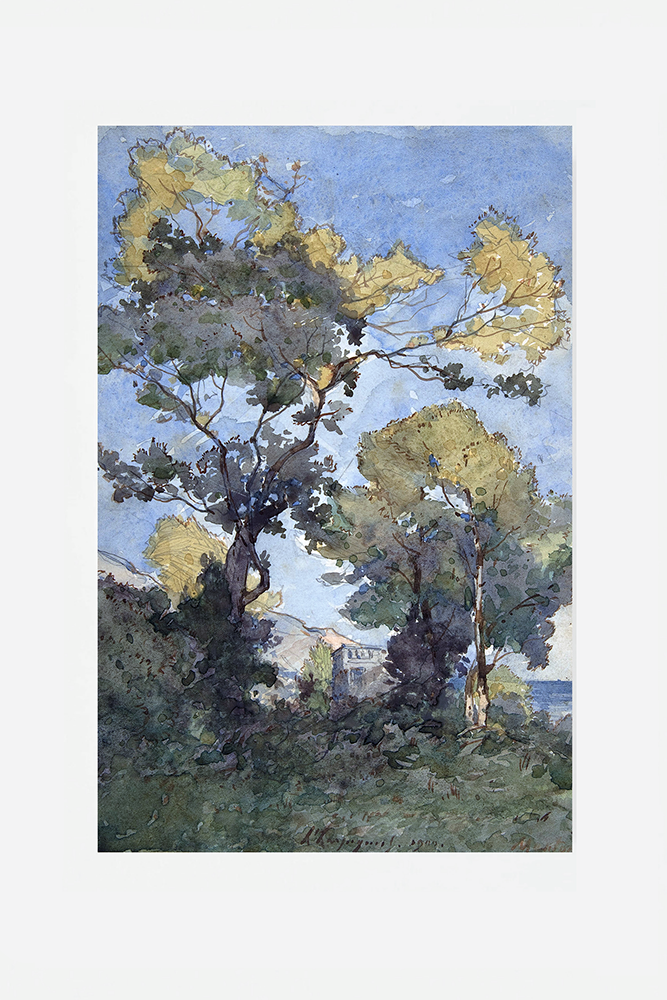 Landscape