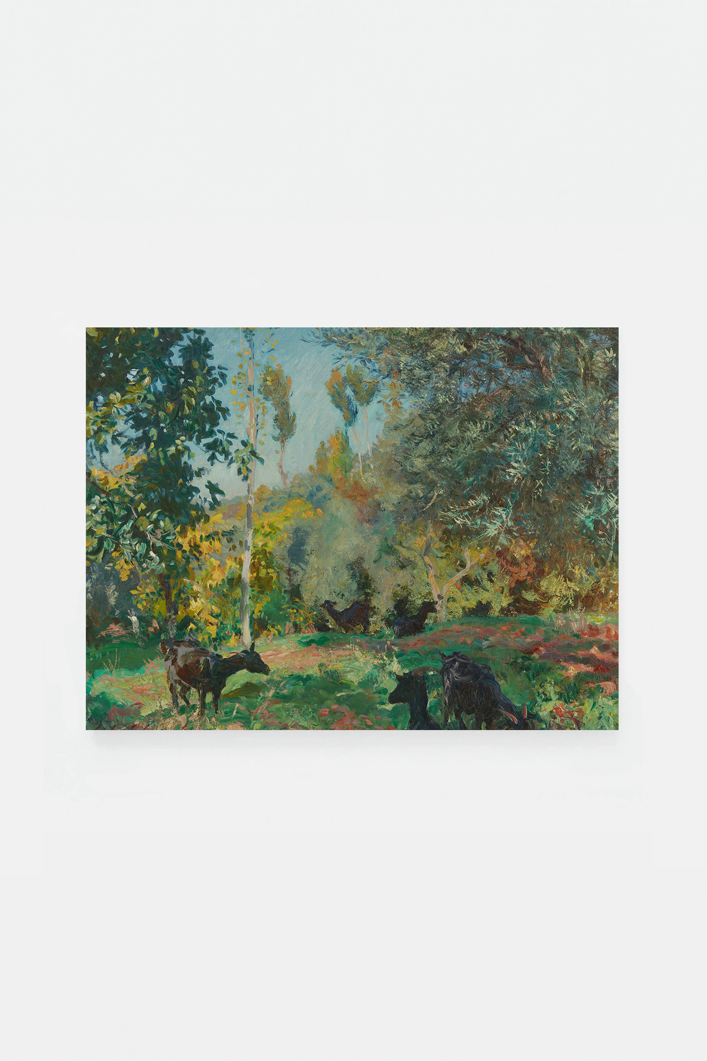 Landscape with goats