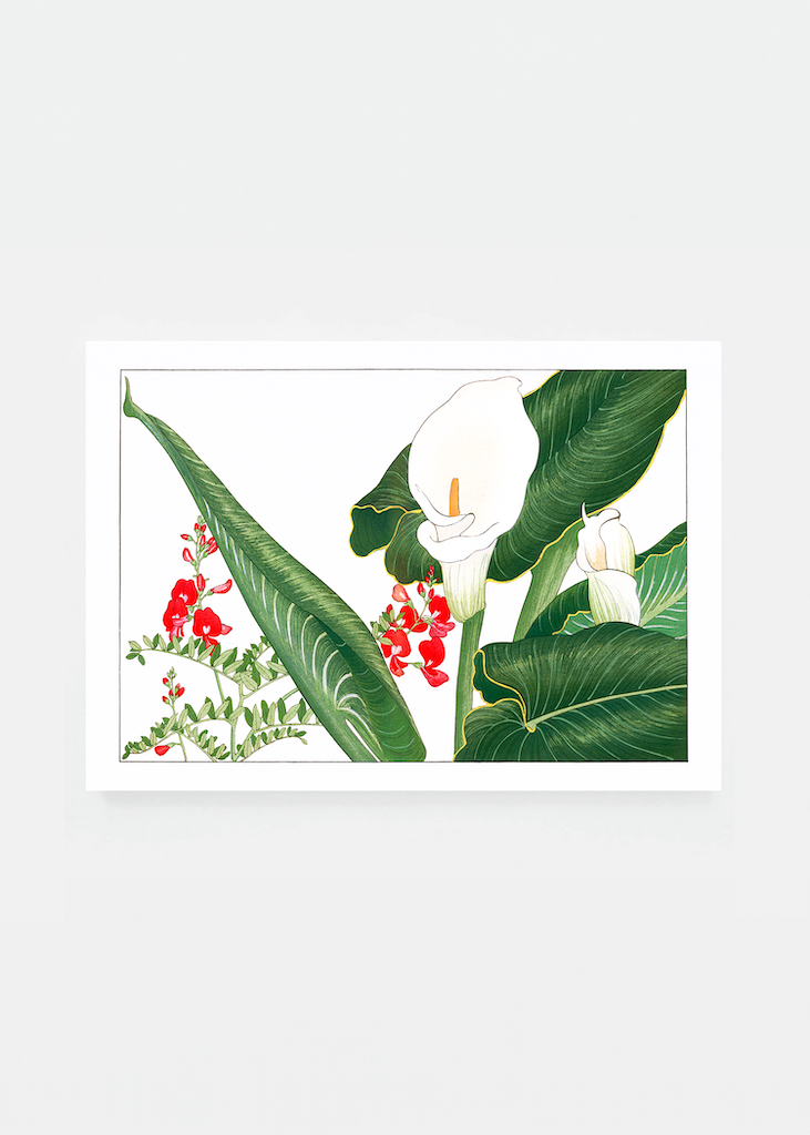 Lathyrus & calla lily flower