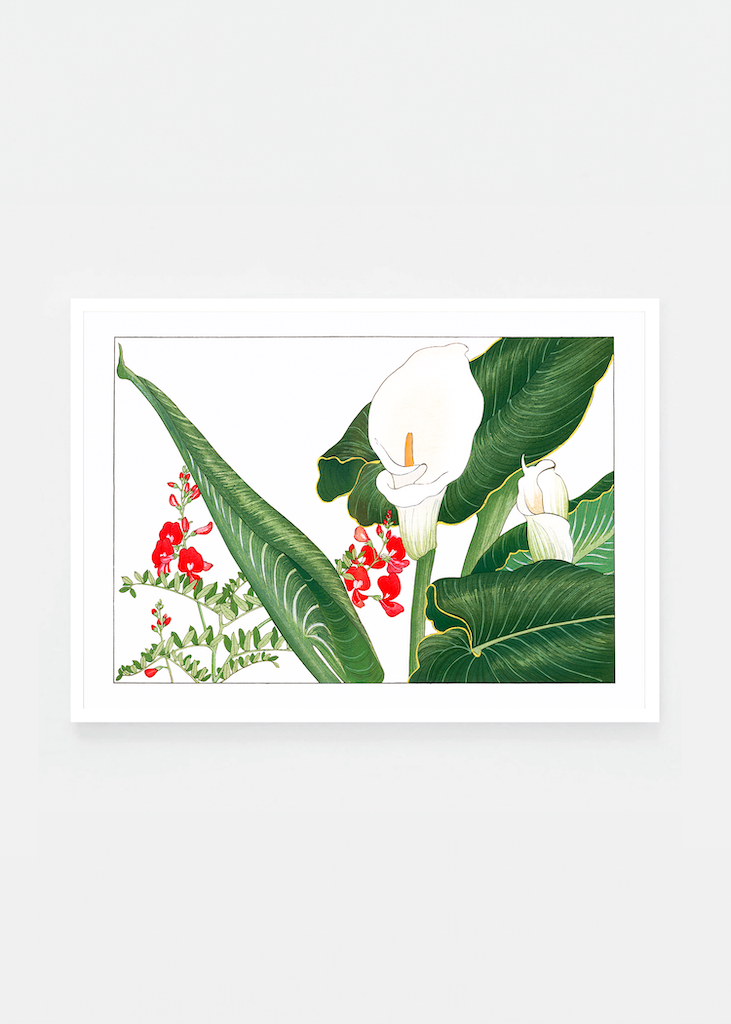 Lathyrus & calla lily flower