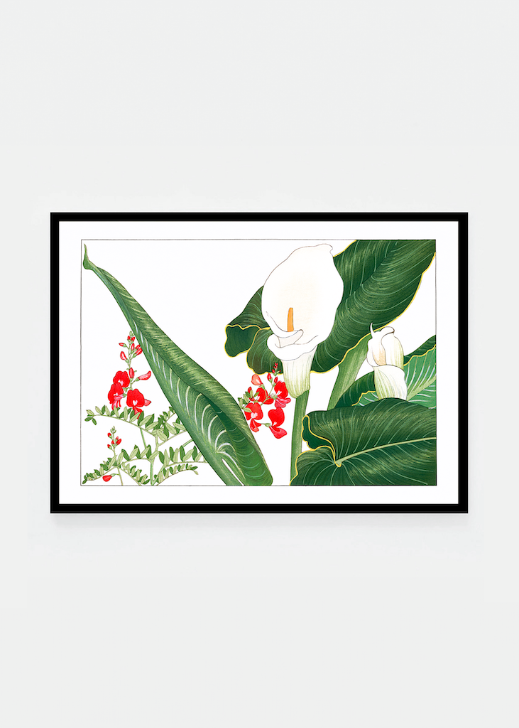Lathyrus & calla lily flower