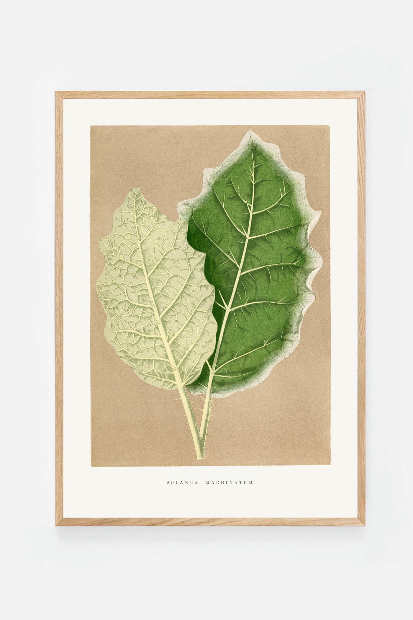 Leaf I